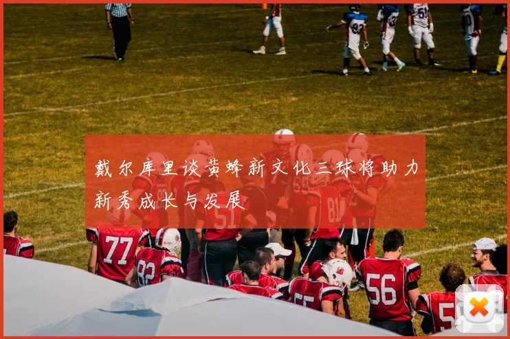 戴尔库里谈黄蜂新文化三球将助力新秀成长与发展