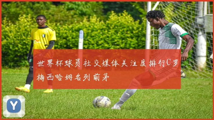 世界杯球员社交媒体关注度排行C罗梅西哈姆名列前茅