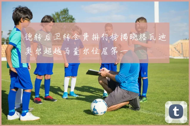 德转后卫转会费排行榜揭晓格瓦迪奥尔超越马奎尔位居第一