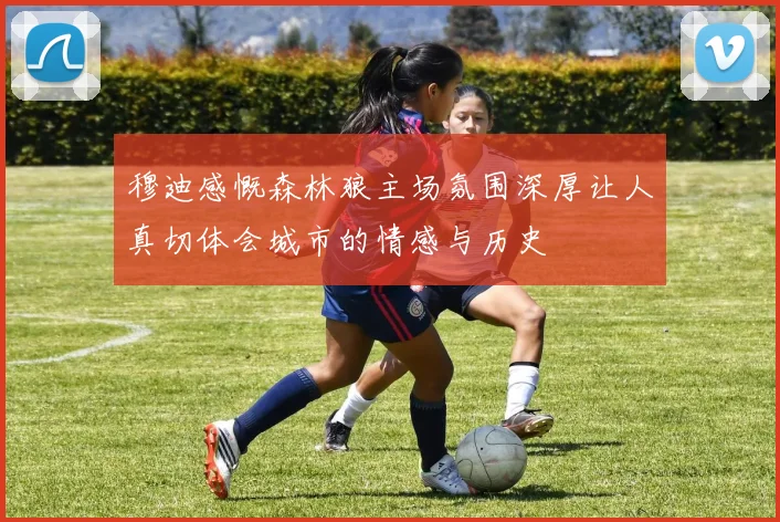穆迪感慨森林狼主场氛围深厚让人真切体会城市的情感与历史